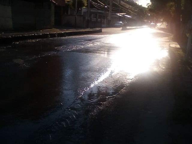 ¿Y las autoridades? Agua potable se pierde en avenida sanjuanera
