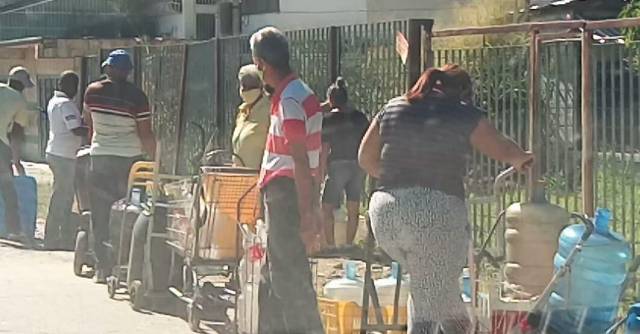 Como camellos | Caña de Azúcar lleva 6 meses sin agua