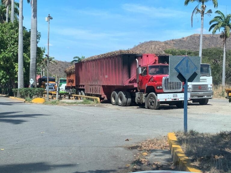Falta de gasoil paraliza cosecha de caña de azúcar en el estado Aragua