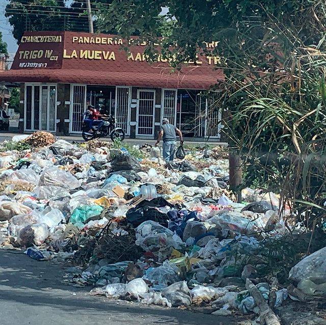 Maracayeros viven entre la basura