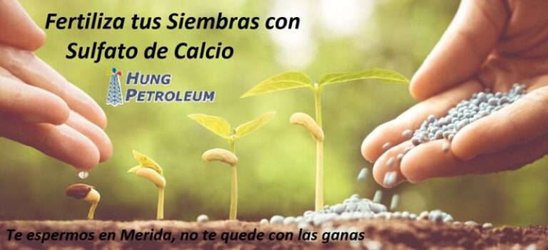 Productores de Mérida fertilizarán sus siembras con Sulfato de Calcio  