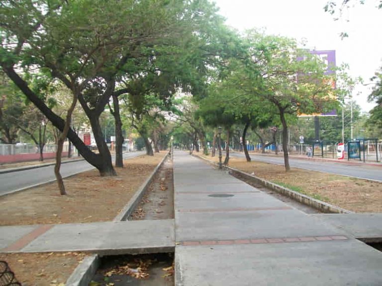 Comunidad | Maracayeros exigen mejores servicios públicos