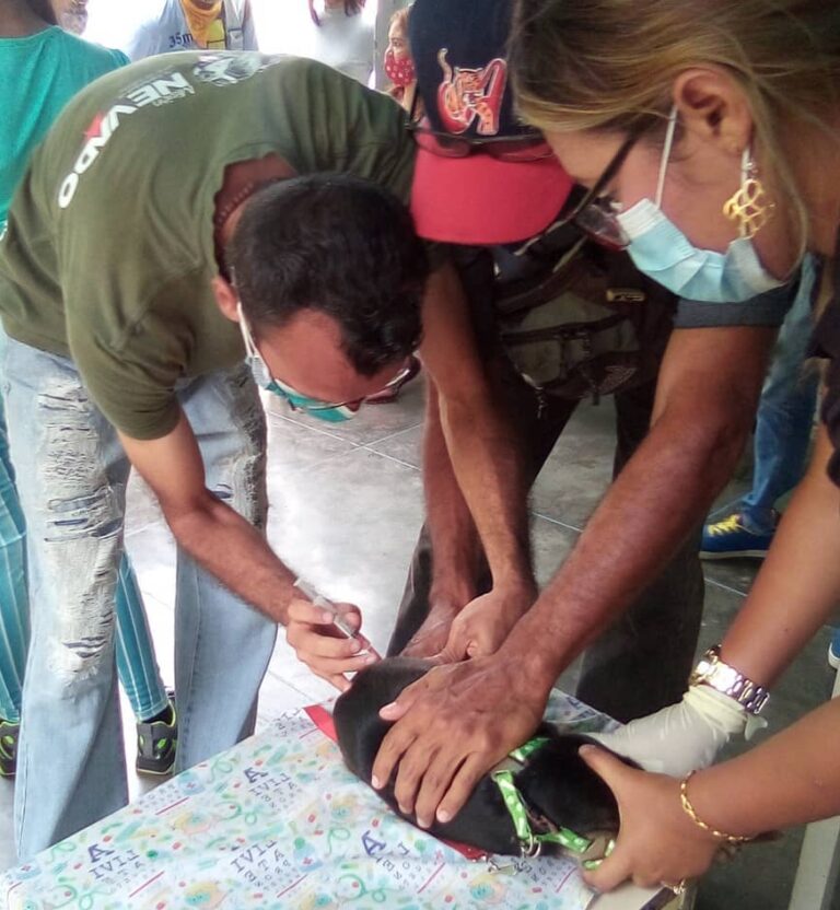 Misión Nevado | Ofrecen atención a mascotas en Guárico