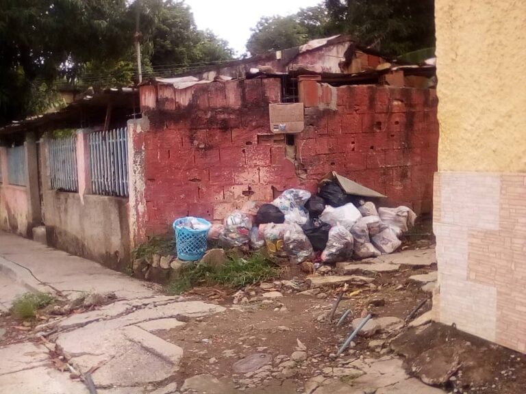Desaparecidos| Por Valle Verde no pasa camión del aseo urbano