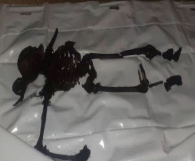 Deuda de 2400 dólares terminó en homicidio