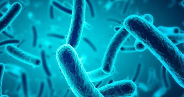ALERTA/Autoridades sanitarias de Guárico advierten posible epidemia