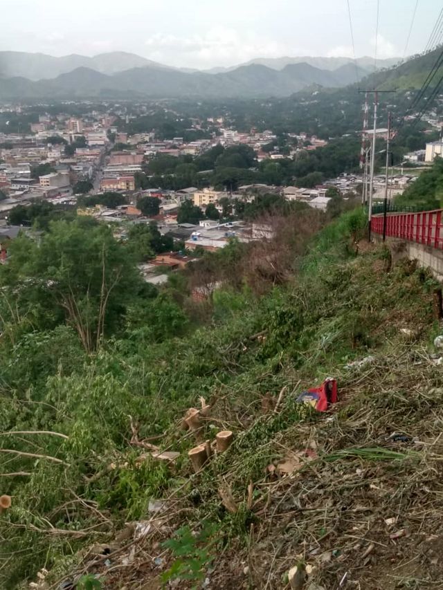 ATENCIÓN FISCAL DE AMBIENTE / Denuncian deforestación en el cerro Santa Rosa de San Juan de los Morros