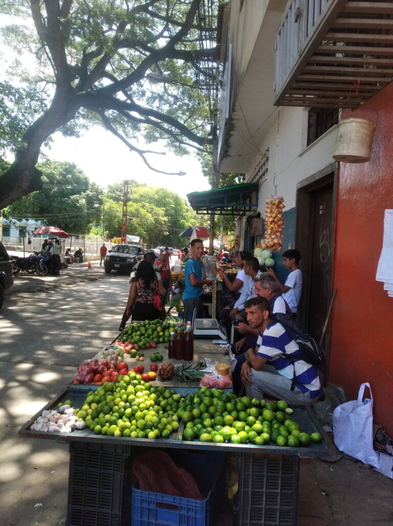 A LA SEMANA/ ¿Con cuánto se puede vivir en San Juan de los Morros?