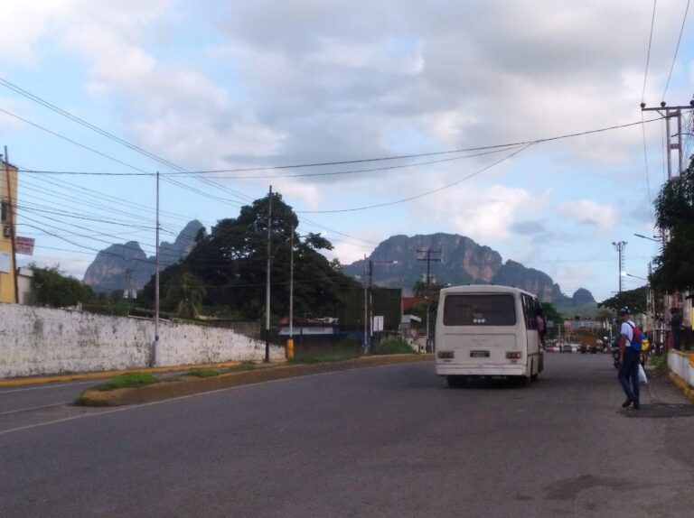 Concejales roscianos realizan consulta por aumento de pasaje