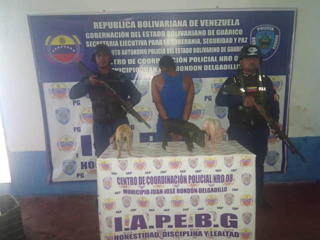 Y FLAQUITOS / Acusan a hombre de robarse tres cochinitos