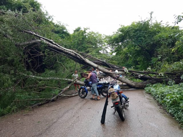 Tremendo susto en carretera hacia Cantagallo